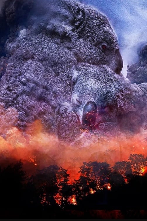 Постер Wild Australia: After the Fires